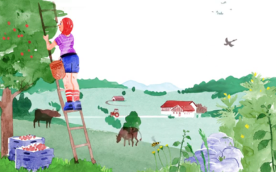 Fruchtbaren Boden vor Überbauung schützen