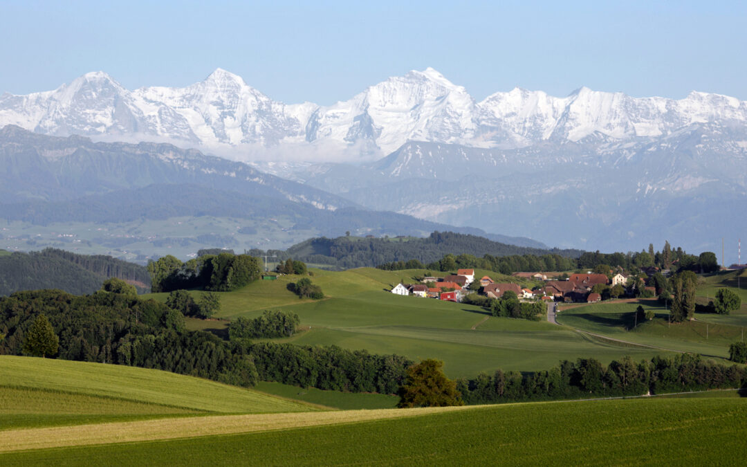 Gegen das Gesetz der Ausnahmen