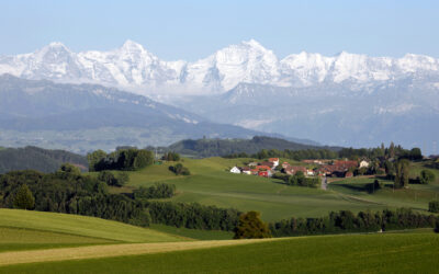 Gegen das Gesetz der Ausnahmen