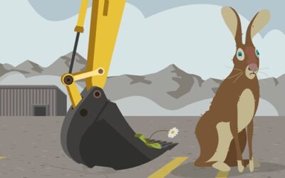 Umweltverbände für Biodiversität und Landschaft