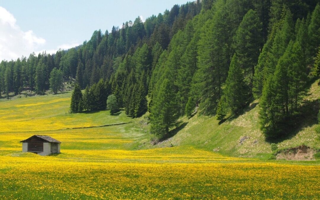Jetzt ist das Parlament gefordert!