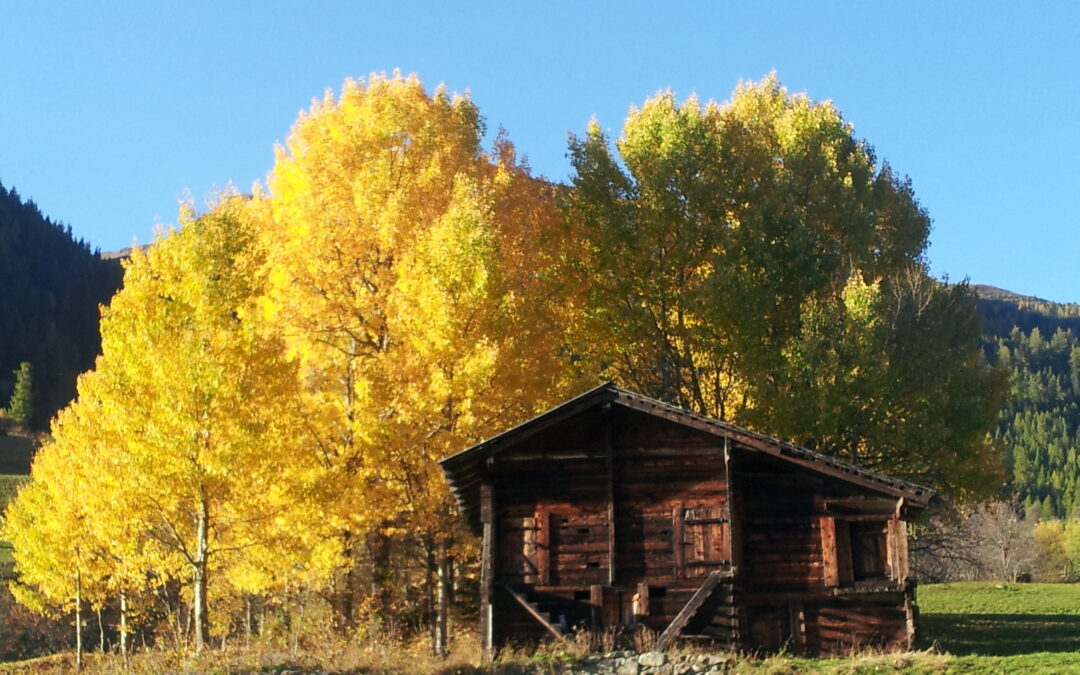 Noch einige gesetzliche Verbesserungen für den Landschaftsschutz?