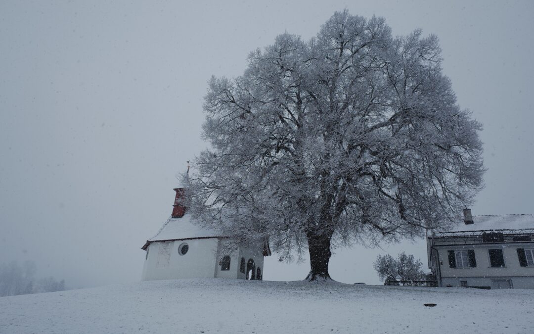 Die Landschaftsinitiative wurde im Nationalrat offiziell abgelehnt