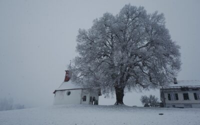 Die Landschaftsinitiative wurde im Nationalrat offiziell abgelehnt