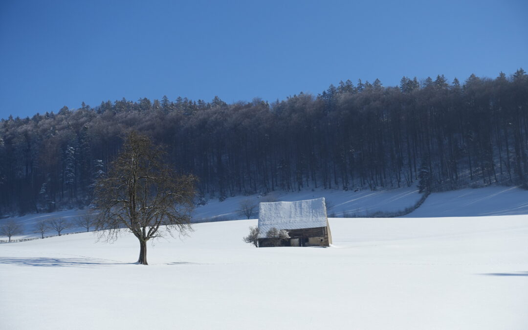 Formeller Rückzug und tatkräftige Weiterarbeit 