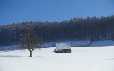 Formeller Rückzug und tatkräftige Weiterarbeit