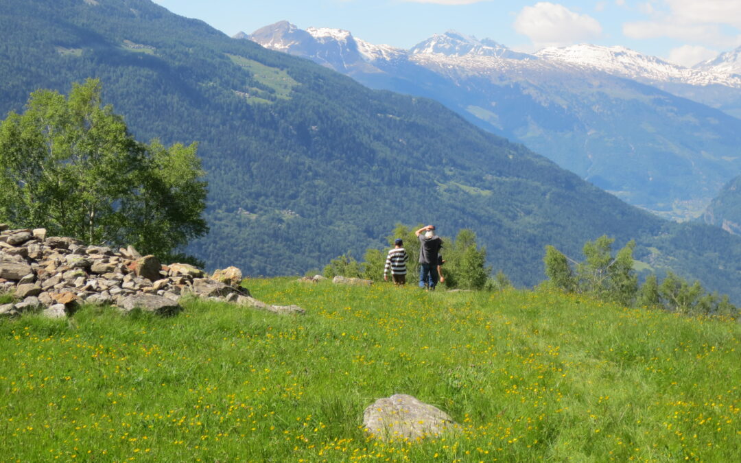 Die Verordnung muss die Raumplanungsziele umsetzen: Bauen im Nichtbaugebiet stoppen