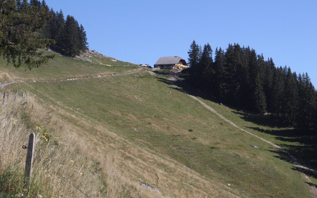 Bauen ausserhalb der Bauzone: strenge Umsetzung des Stabilisierungsziels notwendig