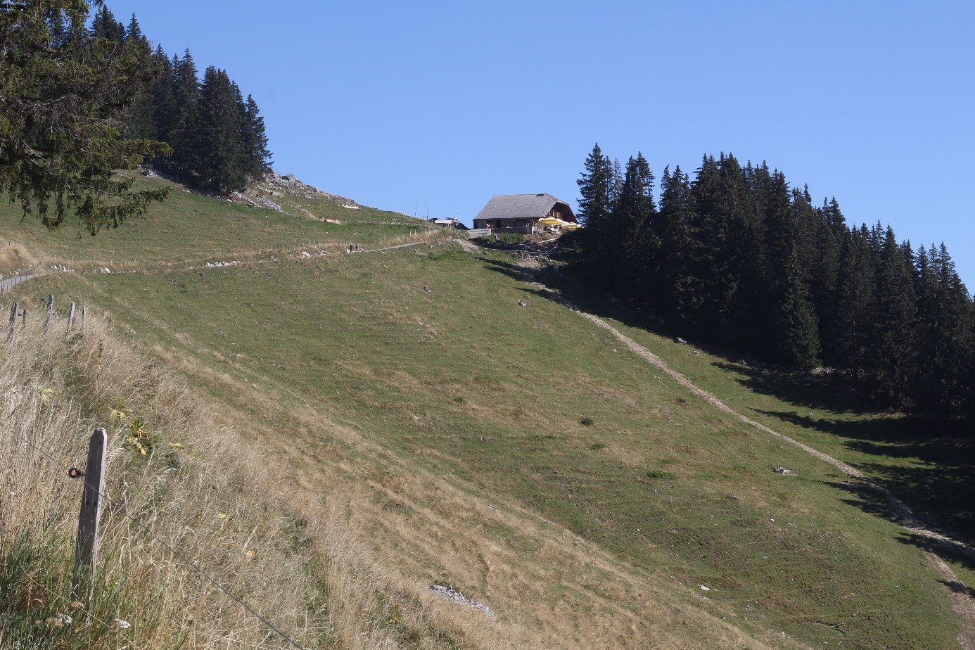 fine consultatzione OPT